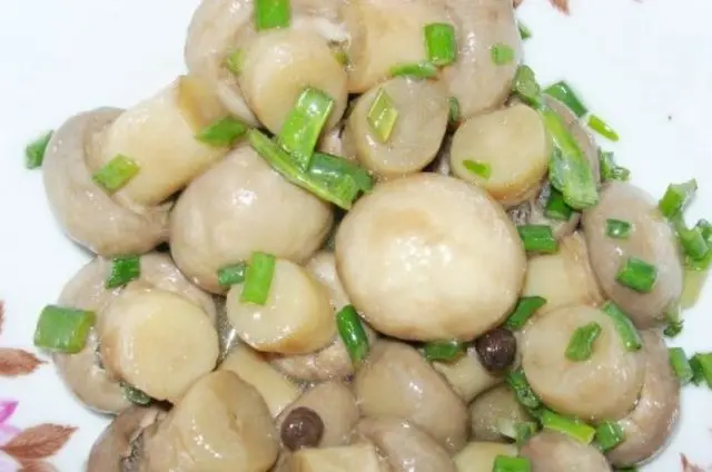 How to quickly and tasty pickle champignons at home: recipes with photos with onions, garlic