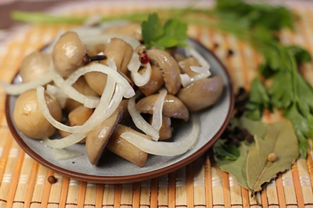 How to quickly and tasty pickle champignons at home: recipes with photos with onions, garlic