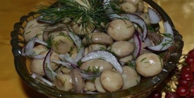 How to quickly and tasty pickle champignons at home: recipes with photos with onions, garlic