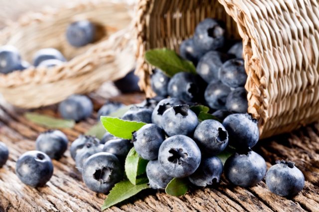 How to quickly bust blueberries off the leaves