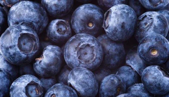 How to quickly bust blueberries off the leaves