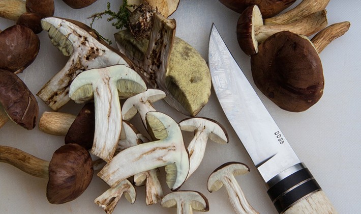 How to quickly clean mushroom mushrooms from earth and dirt (with video)