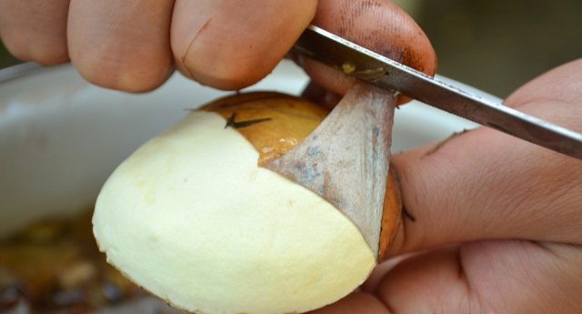 How to quickly clean the butterflies: after the forest, for pickling, the rules for cleaning small and large mushrooms