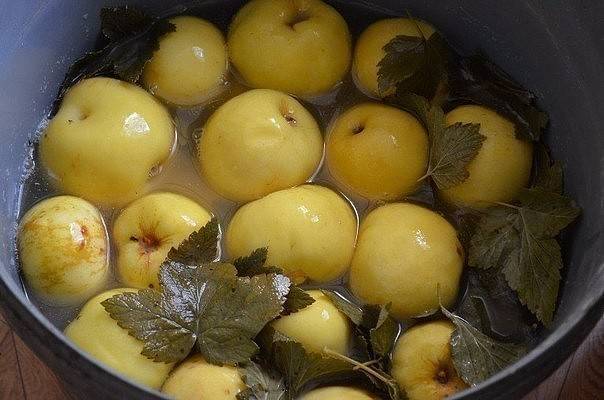 How to quickly make pickled apples