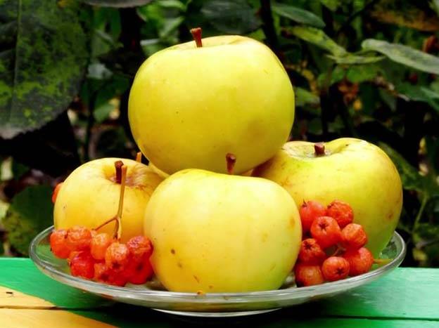 How to quickly make pickled apples