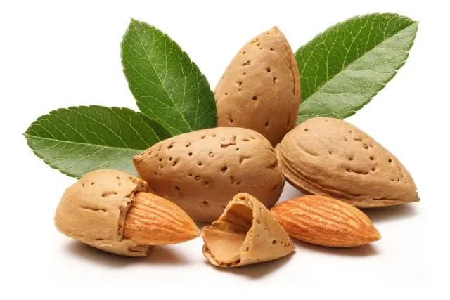 How to quickly peel and shell almonds