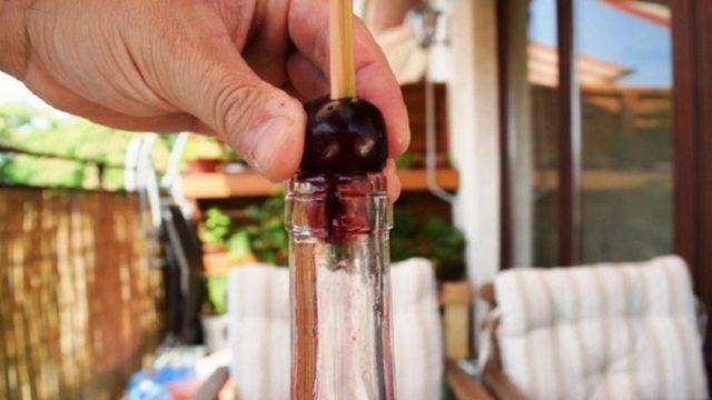 How to quickly peel pitted cherries: folk and special devices