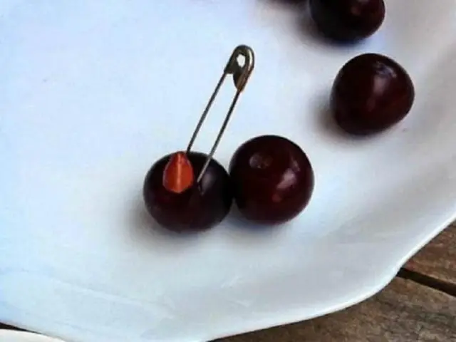 How to quickly peel pitted cherries: folk and special devices