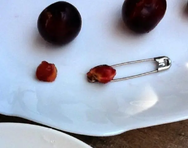 How to quickly peel pitted cherries: folk and special devices