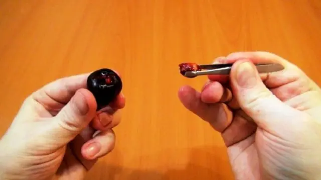 How to quickly peel pitted cherries: folk and special devices