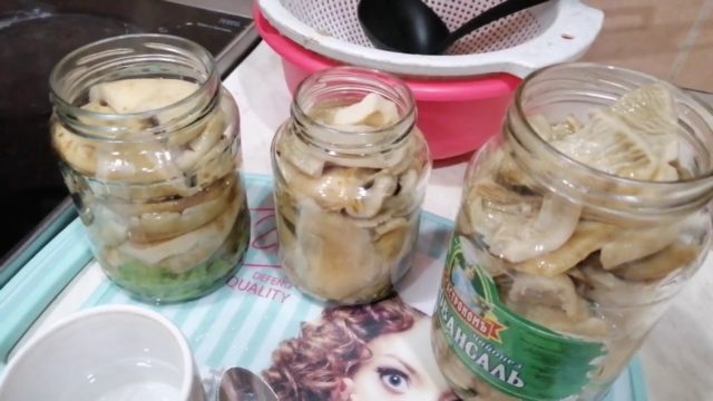 How to quickly pickle milk mushrooms at home: hot and cold recipes