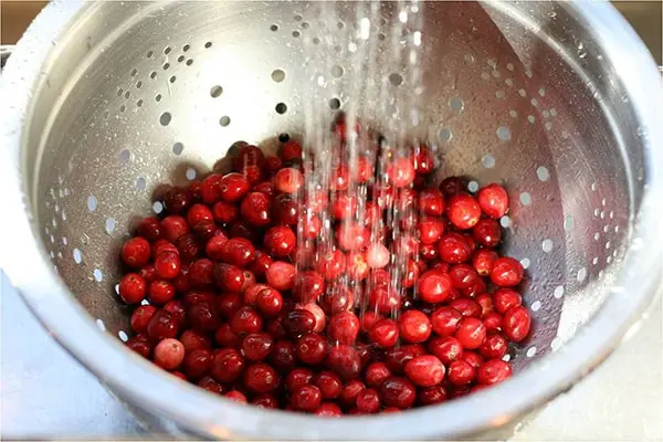 How to quickly sort out lingonberries from garbage