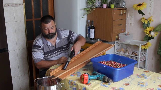 How to quickly sort out lingonberries from garbage