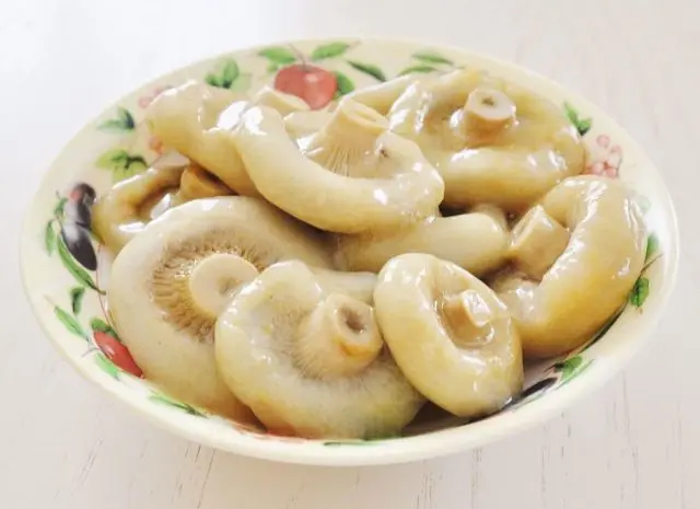 How to salt boiled milk mushrooms: recipes for cooking for the winter after cooking, how much they salt