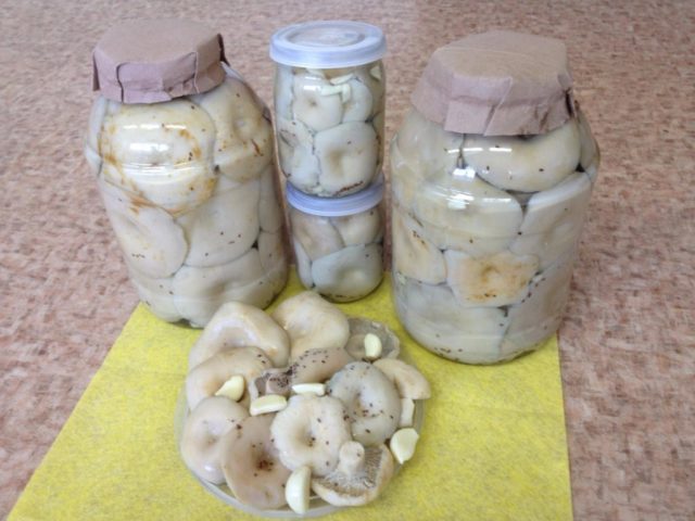 How to salt boiled milk mushrooms: recipes for cooking for the winter after cooking, how much they salt