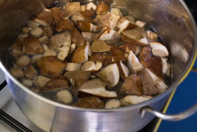 How to salt boletus mushrooms: hot and cold