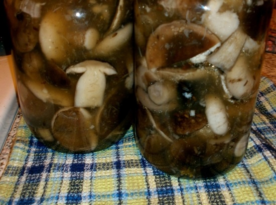 How to salt boletus mushrooms: hot and cold