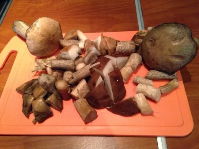 How to salt boletus mushrooms: hot and cold