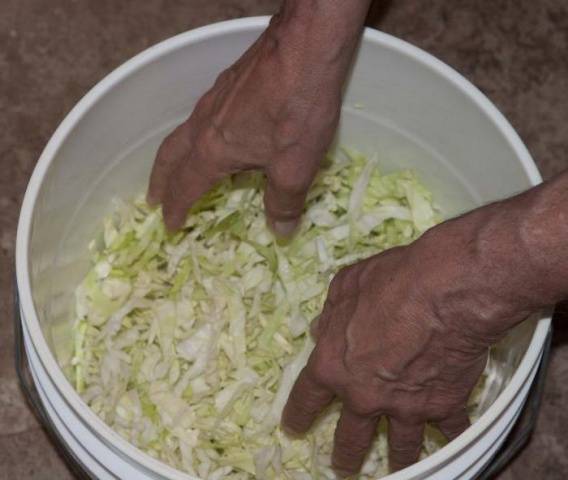 How to salt cabbage for the winter in a bucket