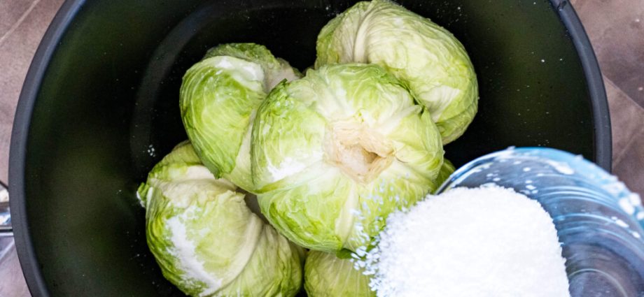 How to salt cabbage with heads