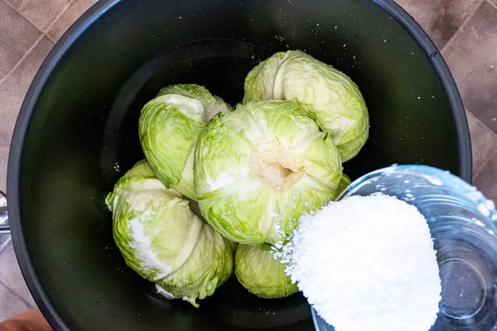 How to salt cabbage with heads