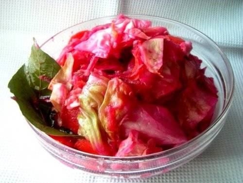 How to salt cabbage with vinegar