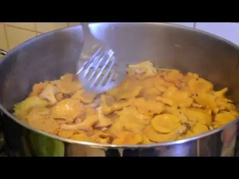 How to salt chanterelles: recipes for cooking at home