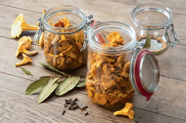 How to salt chanterelles: recipes for cooking at home