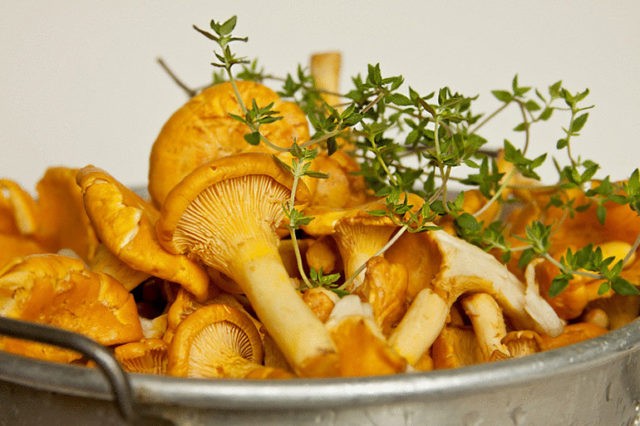 How to salt chanterelles: recipes for cooking at home