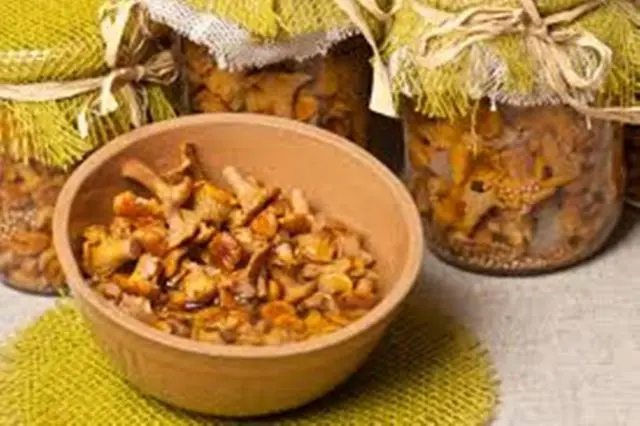 How to salt chanterelles: recipes for cooking at home