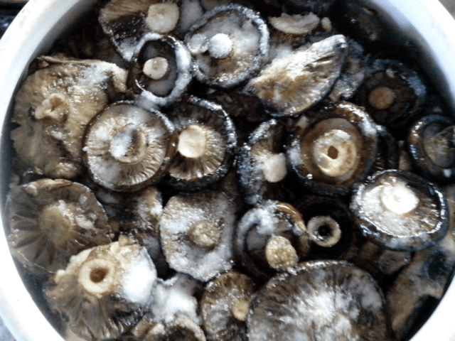 How to salt dry milk mushrooms (white mushrooms) in a hot way: simple recipes for the winter with photos, videos