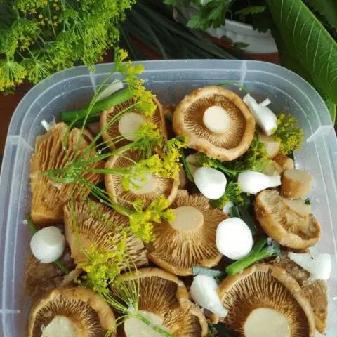 How to salt dry milk mushrooms (white mushrooms) in a hot way: simple recipes for the winter with photos, videos