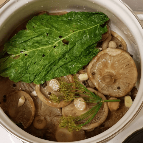 How to salt dry milk mushrooms (white mushrooms) in a hot way: simple recipes for the winter with photos, videos