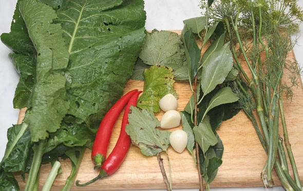 How to salt green tomatoes in a barrel