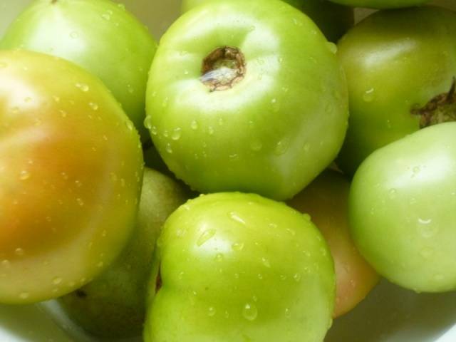 How to salt green tomatoes in a bucket