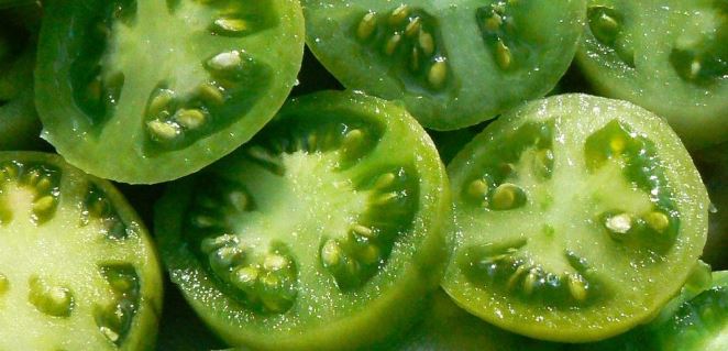 How to salt green tomatoes in a bucket