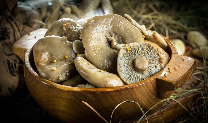 How to salt milk mushrooms for the winter without cooking