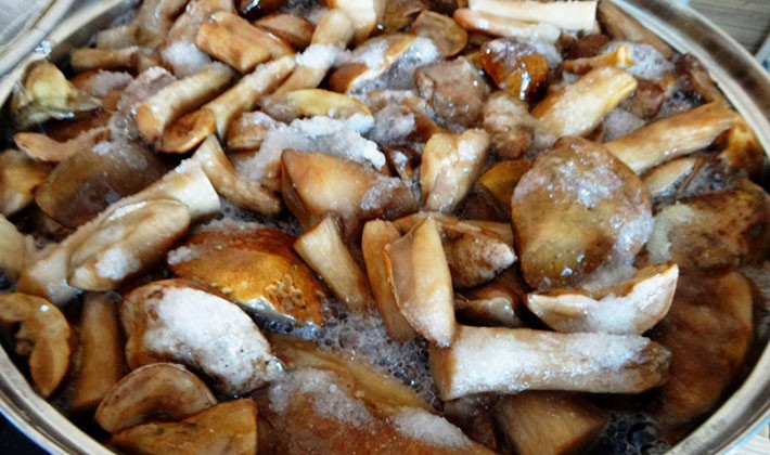 How to salt milk mushrooms for the winter without cooking