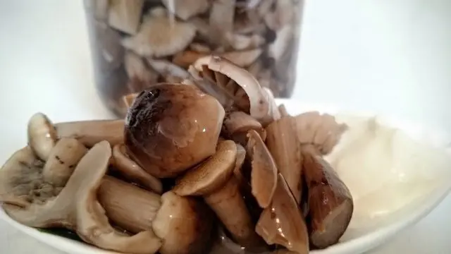 How to salt mushrooms in a hot way