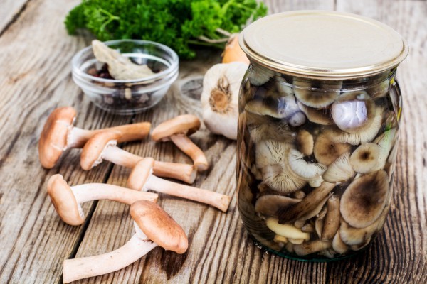 How to salt mushrooms in a hot way