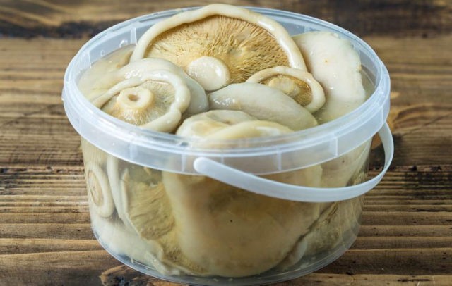 How to salt pickling mushrooms for the winter: in jars, rules and salting recipes