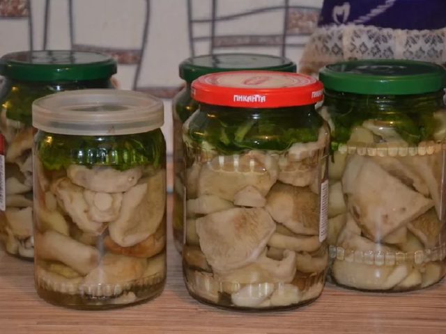 How to salt pickling mushrooms for the winter: in jars, rules and salting recipes