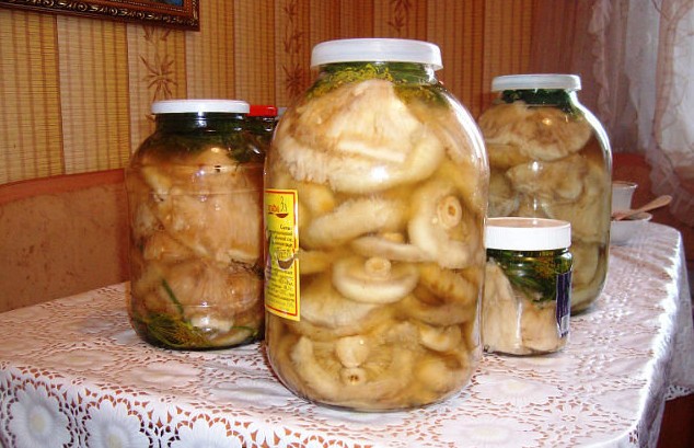 How to salt pickling mushrooms for the winter: in jars, rules and salting recipes