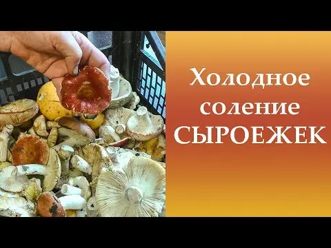 How to salt russula in a cold way without cooking