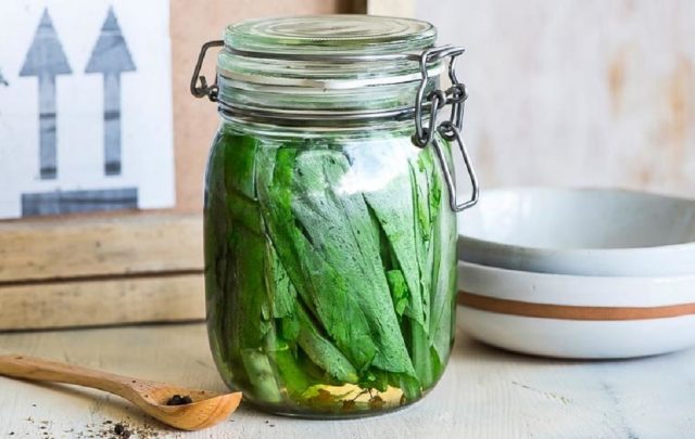 How to salt wild garlic