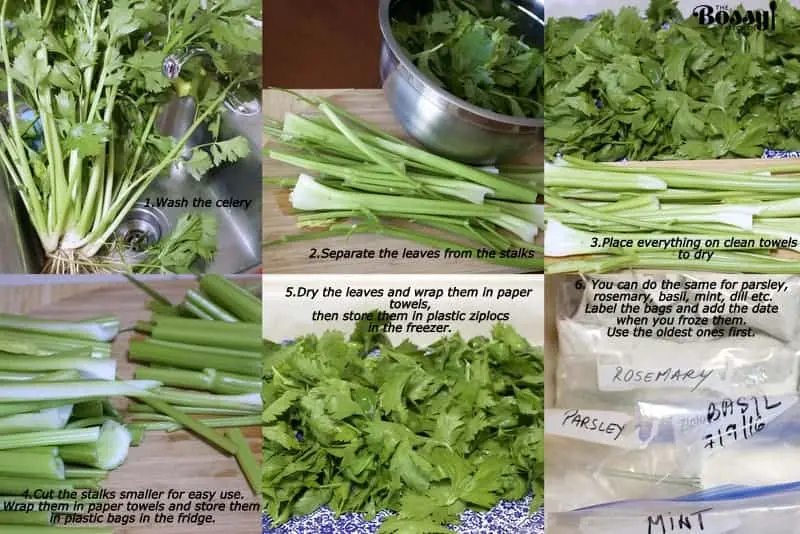 How to save leaf celery for the winter