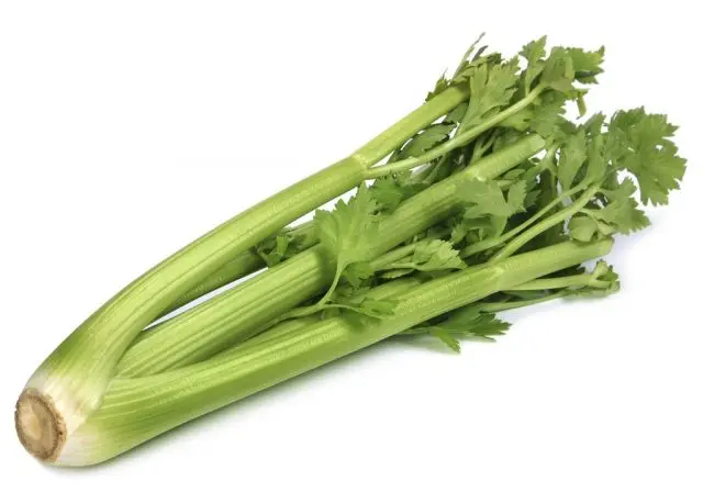 How to save petiole celery for the winter