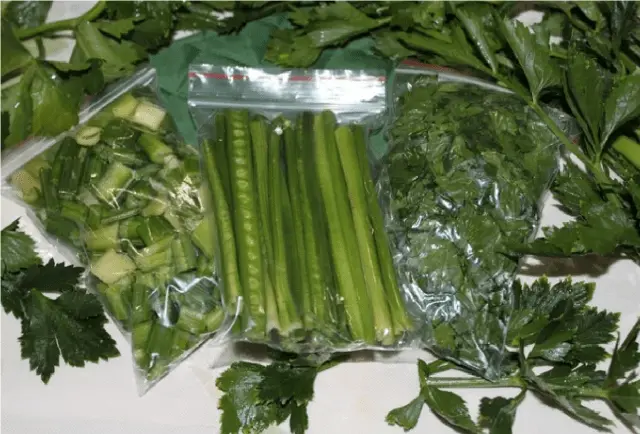 How to save petiole celery for the winter