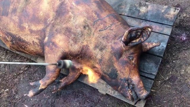 How to set fire to a pig