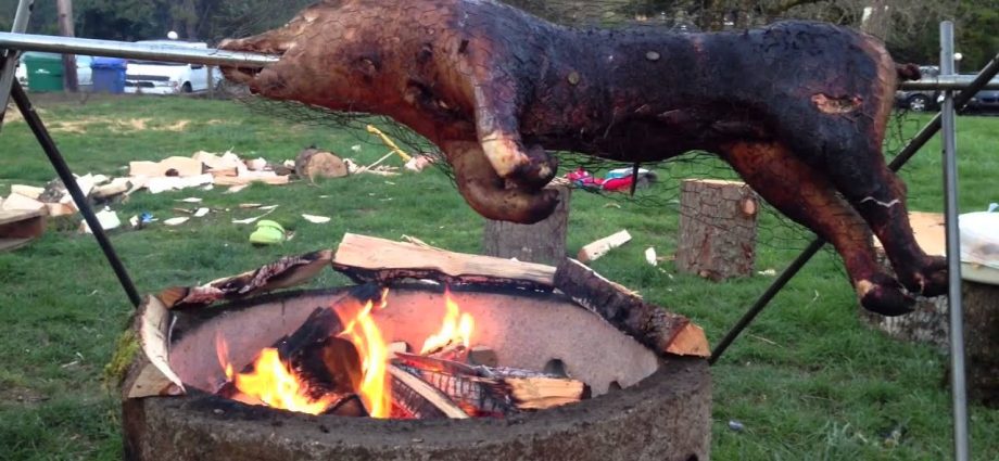 How to set fire to a pig